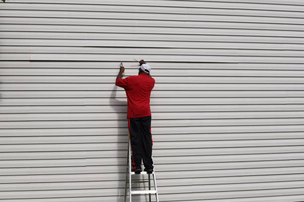 Professional Siding Installation & Repair in Lemon Hill, CA