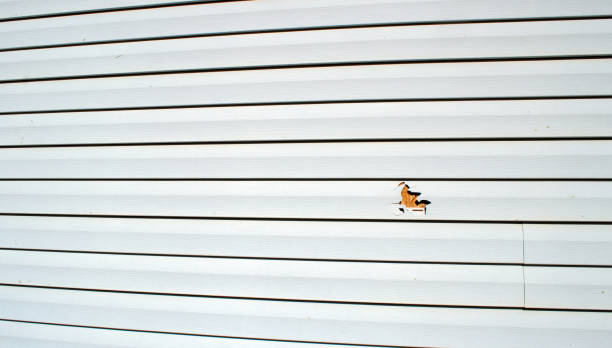 Best Steel Siding Installation  in Lemon Hill, CA