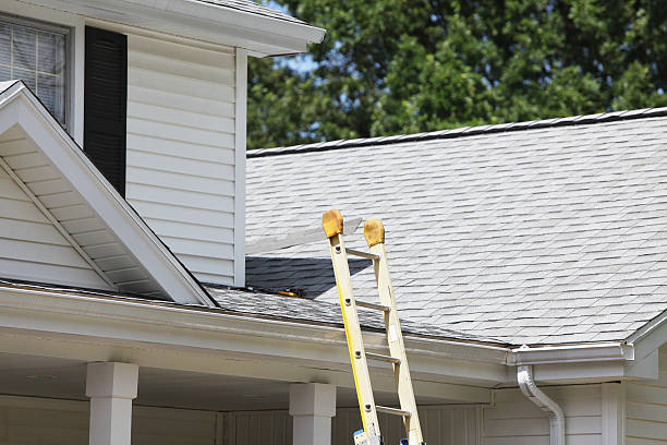 Best Storm Damage Siding Repair  in Lemon Hill, CA