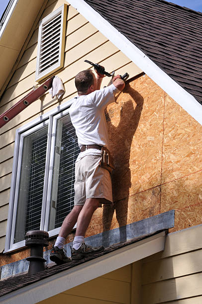 Best Custom Trim and Detailing for Siding  in Lemon Hill, CA
