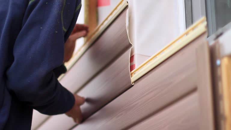 Best Historical Building Siding Restoration  in Lemon Hill, CA
